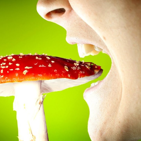 Симптомы отравления грибами