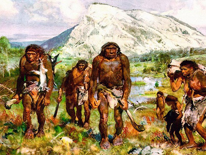 Первыми европейцами были неандертальцы