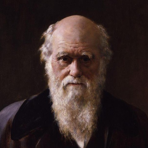 Происхождение видов: история создания книги Чарльза Дарвина