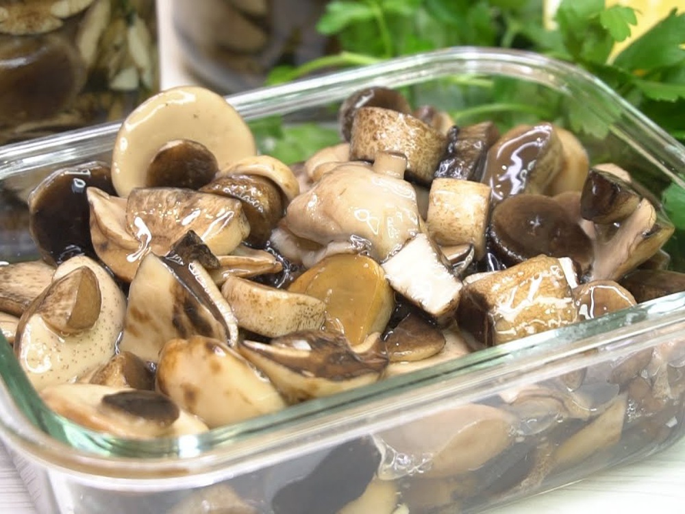 Заготовка грибов: сушить, морозить, солить и стереть в порошок
