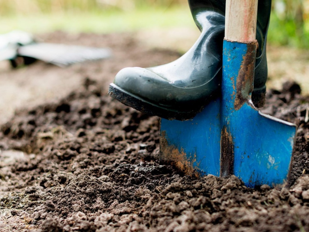 Осенью не забывайте о перекопке: как правильно обработать почву после уборки урожая