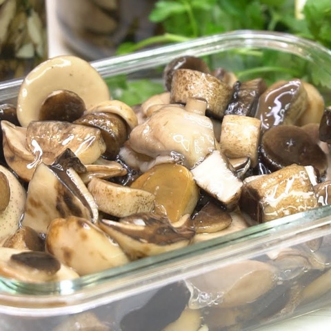 Заготовка грибов: сушить, морозить, солить и стереть в порошок
