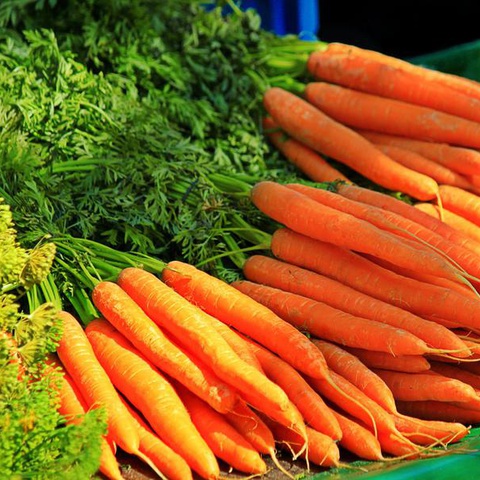 Секреты хранения моркови зимой